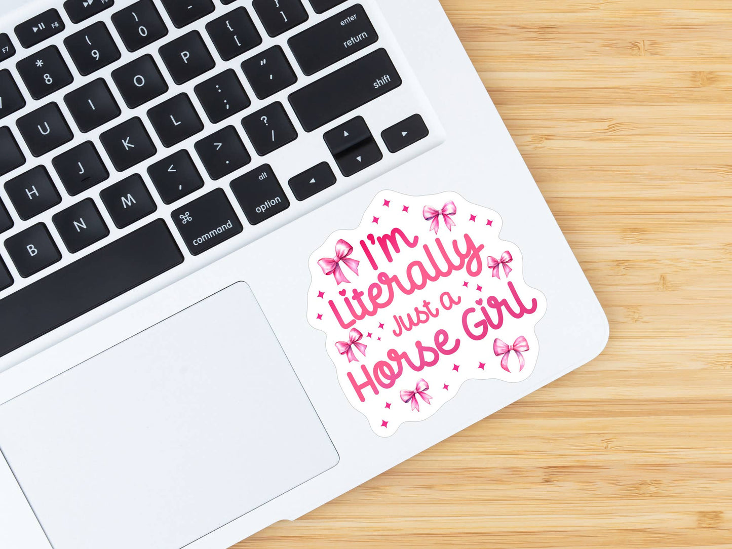 Equestrian Horse Sticker -Waterproof- Literally A Horse Girl