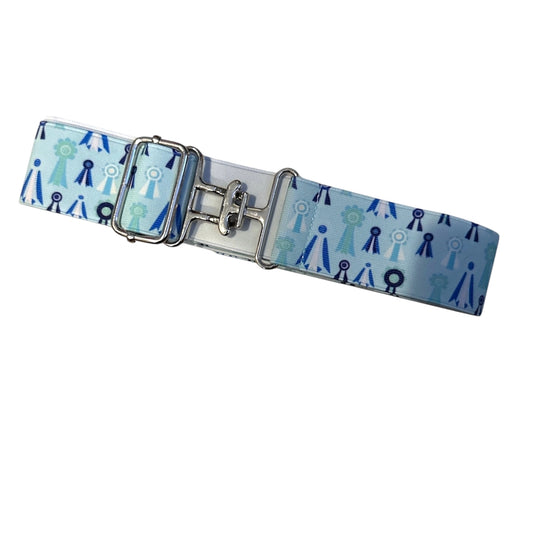 Teal Ribbons Belt
